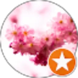 Review From hana caesarina