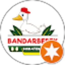 Review From Bandar Bebek Sumatera