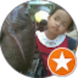 Review From jefri yadi