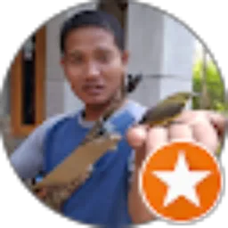 Review From Cipri Cipriano