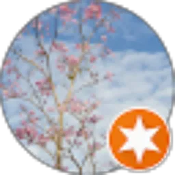 Review From Lia Alfanif