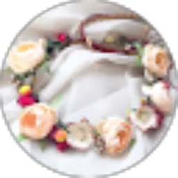 Review From dina lis