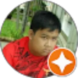 Review From Stefanus Rudy