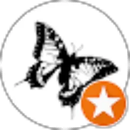 Review From calming the mind