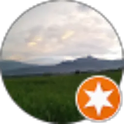 Review From alfonso santoso