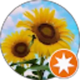 Review From Misdi