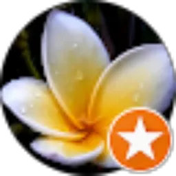 Review From Cathy Anderson