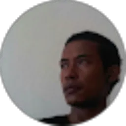 Review From amil yulian
