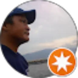 Review From DAVID P. LINGGA