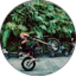 Review From Muhammad Areka Taruna