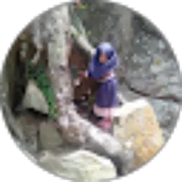 Review From TJ CAKEP
