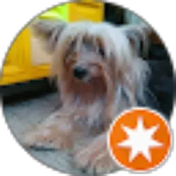 Review From Value Julian