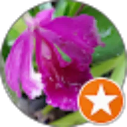 Review From DTS NR