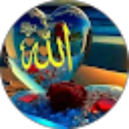 Review From Gusran Salamani