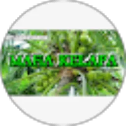 Review From Mafia kelapa Degan