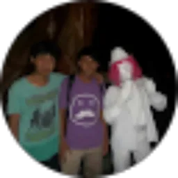 Review From Anggoro Setyomulyo