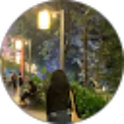 Review From Elizabeth Lie