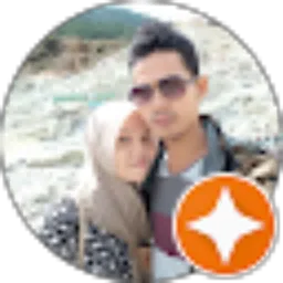 Review From Dedi Romanto