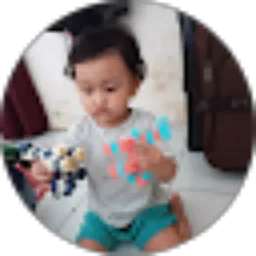 Review From Dede Fairuji