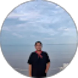 Review From Wiki Saputra