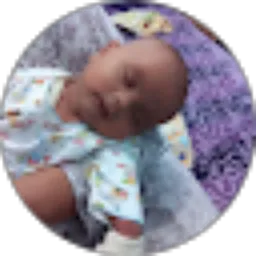 Review From Nur Sholichin