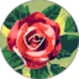 Review From Anita Aj