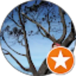 Review From Marya ti