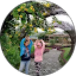 Review From Wahyu Suraning tyas