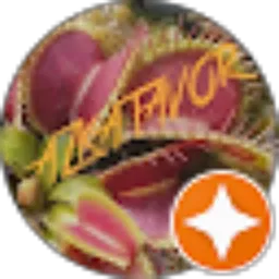 Review From Azkatavor BGR