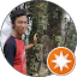 Review From Gema Bima