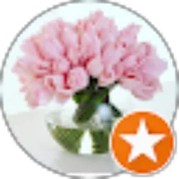 Review From Yeni Oktaviani