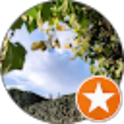 Review From Oca Channel