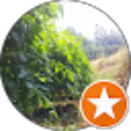 Review From yana sur yana