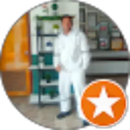 Review From Dimas Priono