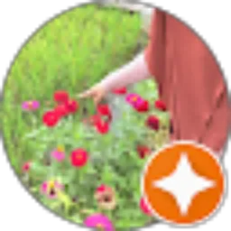 Review From Leah Ardani
