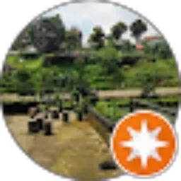 Review From Harry Haryanto