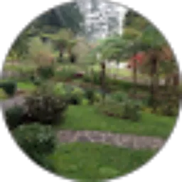 Review From Hanny Sukma