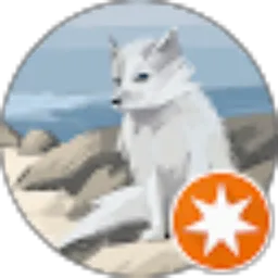 Review From Waktu