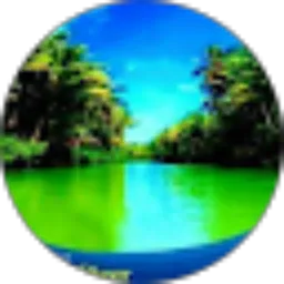 Review From ping ky