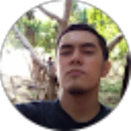 Review From Edwin Porsiana