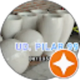 Review From PILAR 99