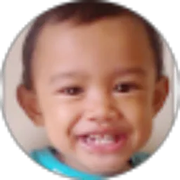 Review From Muhammad Zoelkifli
