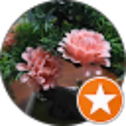 Review From anton munandar