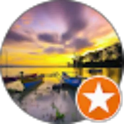 Review From Piex