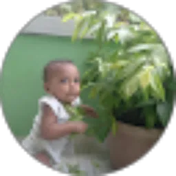 Review From Novalialagu malanu