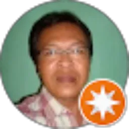 Review From Aloysius Indratmo