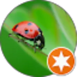 Review From Oksan