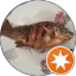Review From DH Channel