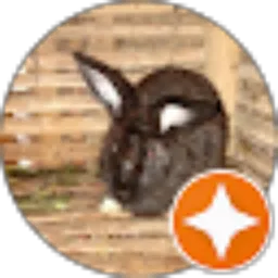 Review From Pandoyo Rabbit