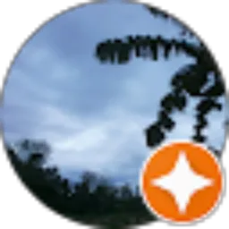 Review From Ozzie Ahmed